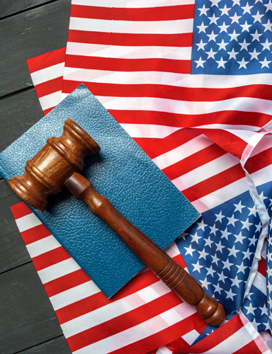 immigration law
